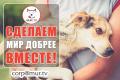 Помощь питомцам домашним, волонтерам